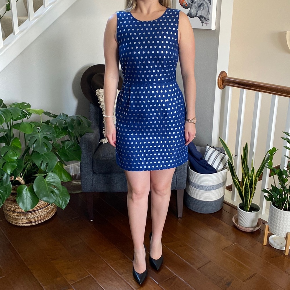 J. Crew Blue Dress
